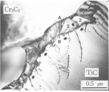 Figure 2.22 TEM micrographs of subgrains and sub-boundaries of dislocation networks  in TiC system [97]