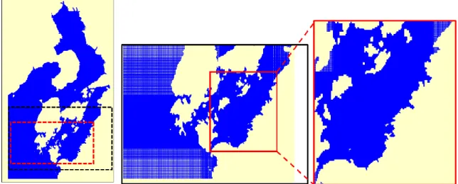 Figure 3.2. Variable grid system in the computational domain 