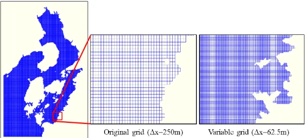 Figure 3.3. Comparison of grid size in Minamata Bay, left: original grid (250m), right: 
