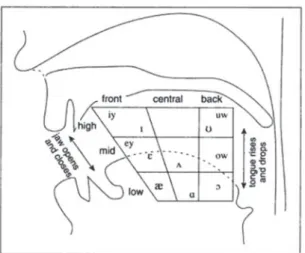 Table 4. Japanese vowel chart (Finegan, 2004) FRONT UNROUNDED    CENTRAL UNROUNDED    BACK UNROUNDED    BACK ROUNDED  HIGH   i     m   MID LOW   a  
