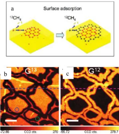 Figure 2.9 (a) Schematically presented graphene growth mechanism on a Cu substrate based on the surface  deposition using a carbon isotope analysis