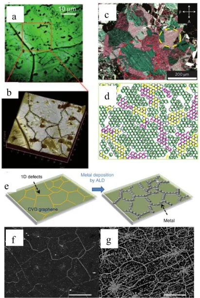 Figure 2.11 Direct observation of GGBs on Cu foil. (a) Optical image of Cu foil after ultraviolet exposure  under moisture-rich ambient conditions