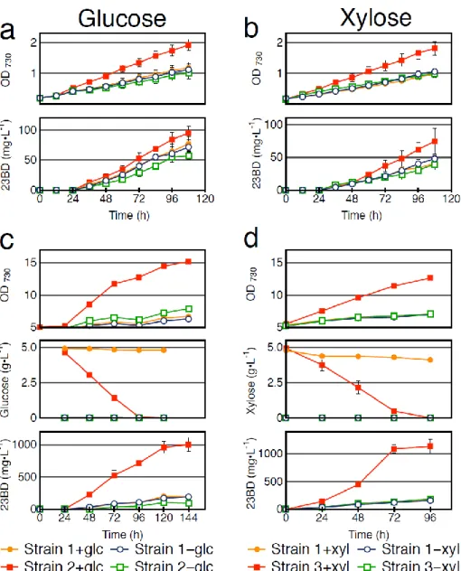 Fig. 2-3 Sugar utilization under continuous light conditions. Filled shapes indicate the presence of sugar, empty  shapes indicate the absence of sugar