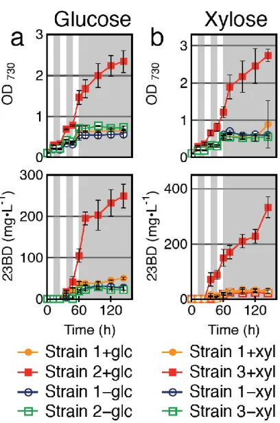 Fig. 2-5 Sugar utilization under dark (D/D) conditions. Cells were cultivated in 12 h light/ 12 h dark cycles for the  first 60 h, then transferred to complete darkness with the addition of a 15 minute light pulse once every 24 h