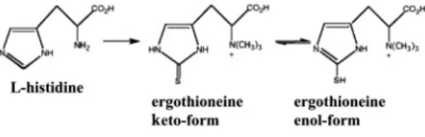 Figure 1  Struct   ergo   thion   e   i