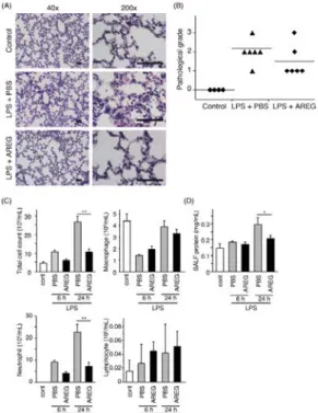 Figure 1. Amphiregulin は LPS に よ る マ ウ ス の 急 性 肺 傷 害 を 軽 減 し た