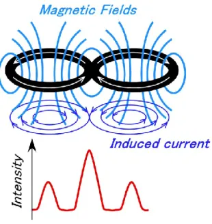 Figure 1-2 Magnetic coil shape and resultant stimulus intensity in the brain 