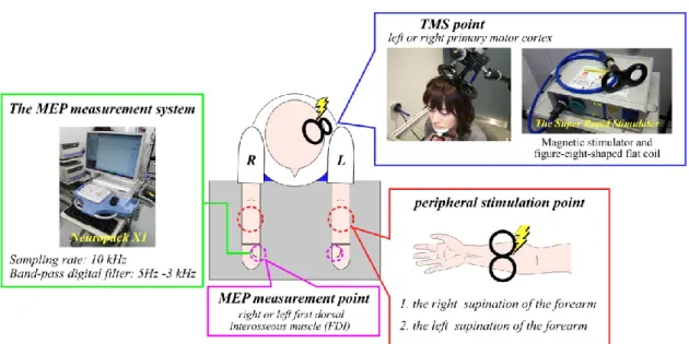 Figure 3-1 illustrates the experiment environment used in this study. Participants were  seated in a comfortable chair and instructed to maintain relaxed muscles throughout the  experiment