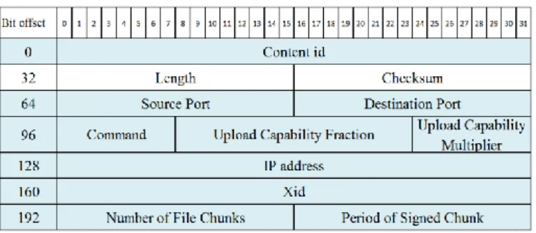 Figure 12: The Probe header (modified UDP), where the highlighting shows the modified fields