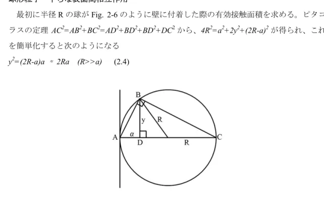 Fig. 2-6  壁に付着した球の有効接触面積の求め方 Fig.  2-5b に あ る よ う な 形 状 に お い て 、 面 積 πy 2 、 厚 さ dx の 円 形 の 断 片 の 体 積 は πy 2 dx=π(2R-x)xdx であり、この断片に含まれる分子数は πρ(2R-x)xdx となる。これら全て の分子が表面から (L+x) の距離にあるので、正味の相互作用エネルギーは (2.2) 式から次の ようになる。       222 3 02 2( )23x R nx 