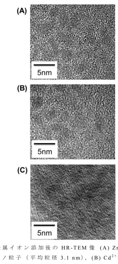 図 2 - 6 金 属 イ オ ン 添 加 後 の H R - T E M 像   ( A )   Z n 2 + 添 加 後 C I S ナ ノ 粒 子 （ 平 均 粒 径 3 