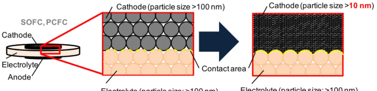 Fig. 1-3 Schematic illustration of a cathode reaction at cathode/electrolyte interface in the case of  (a) SOFC and (b) PCFC