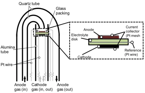 Fig. 3-3-1 Schematic image of the apparatus for electrochemical experiments.