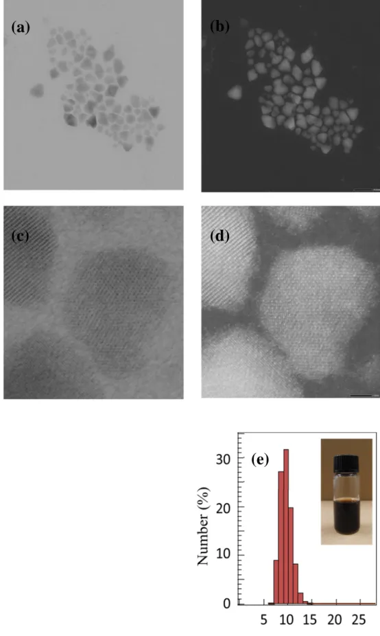 図 3.2  CZTS  ナノ結晶の STEM 像(a, c) HAADEF 像(b, d)と DLS を用いた粒子サ イズのヒストグラム 