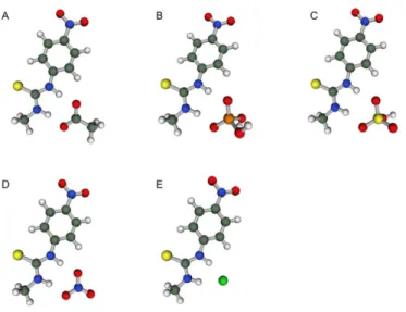 図 3-1  NTU とアニオンの錯体の最安定構造（DFT-B3LYP/6-311++G(d,p), gas  phase）。酢酸(A)、リン酸二水素(B)、硫酸水素(C)、硝酸(D)、および、塩化物(E)イオン の錯体を示した。  表 3-1  NTU-Anion 錯体の熱力学的パラメーター。構造は図 3-1 に示した。  Anion  E ZP G  H  TS  (kJ/mol)  CH 3 COO - - 208.6  -169.0   -206.2   -37.2  H 2 PO 4 - 