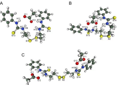 図 3-9  密度汎関数法(B3LYP/6-311++G(d,p), gas phase)によって構造最適化した、チオ尿 素部位が cis 型立体配座の BPE-CH 3 COO - 錯体。各最適化構造のジエチルジスルフィド骨 格の立体配座は C5 から C6 の順に tgggg (A), gtge’g(B)、および、tgggt (C)となった。 (t: 
