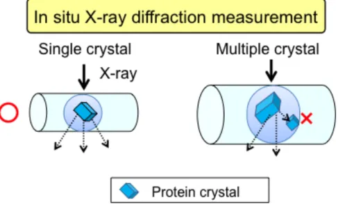 Figure 1-5. An illustration of In situ X-ray diffraction measurement by using  microfluidic device