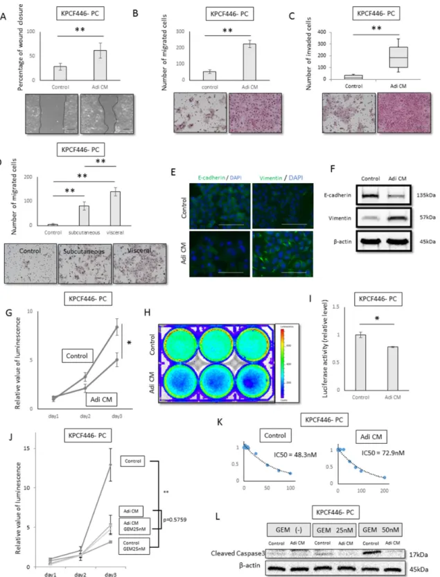 Figure 3: Effects of adipose tissue conditioned medium (Adi CM) on pancreatic cancer cell function in vitro
