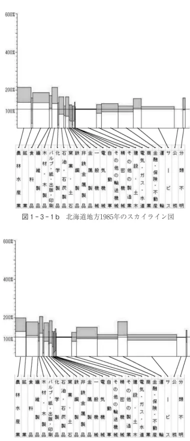 図 1 3 1 c 北海道地方2005年のスカイライン図