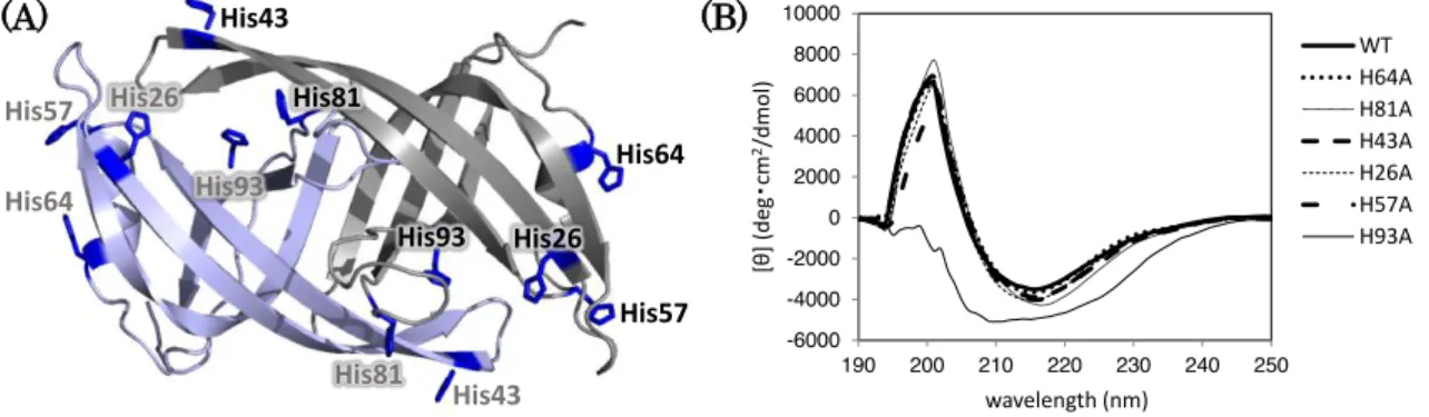 Figure 1-2. Preparation of PriB_HA mutants.   