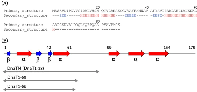 Figure 2-1. Secondary structure of DnaT.   