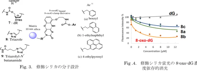 Fig. 3. 修飾シリカの分子設計 Fig .4.   修飾シリカ蛍光の 8-oxo-dG 濃