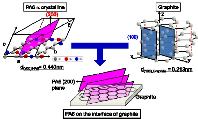 Figure 2-10. The structure of PA6   form crystallite on the graphite plate.   