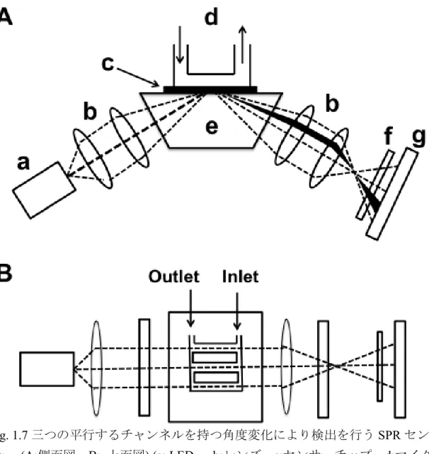 Fig. 1.7 三つの平行するチャンネルを持つ角度変化により検出を行う SPR セン