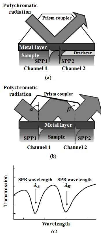 Fig.  1.9(a)多色光が一部が絶縁体(酸化チタン)をコーティングした金薄膜から 構成されたセンシング表面に入射させた場合、(b)特殊なプリズムを利用し、