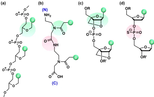 Figure 1-4  . (a) GNA (b) PNA (c) LNA (d) PS. 