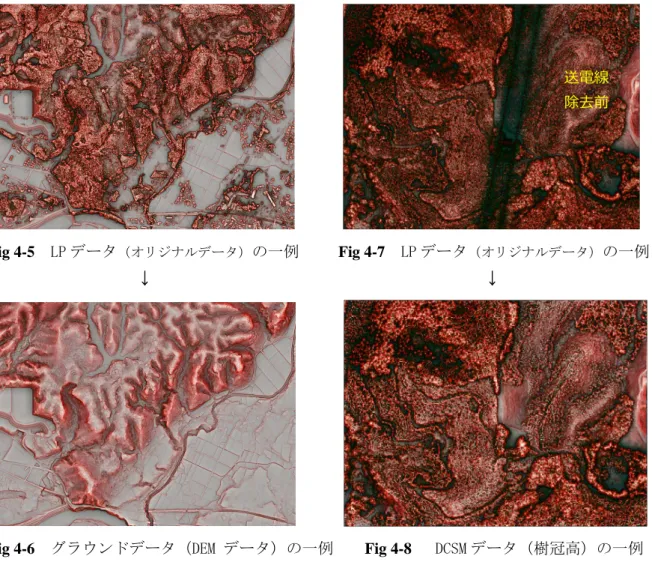 Fig 4-6  グラウンドデータ（DEM データ）の一例  Fig 4-8   DCSM データ（樹冠高）の一例 