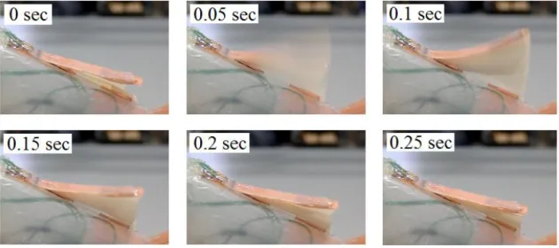 Fig. 2.7.4    Sequence of photos of opening and shutting type fin 