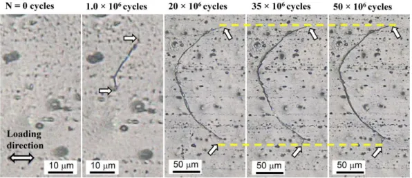Fig. 2.10.  Crack length as a function of number of cycles at the stress amplitude  of 200 MPa