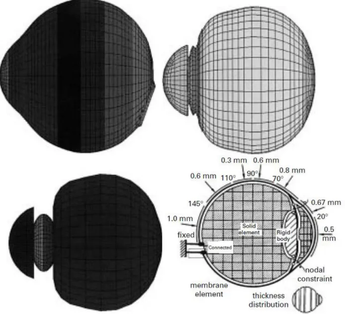 Fig. 3. The eye model of Uchio et al. [10, 11]. License Number: 4034610711007 