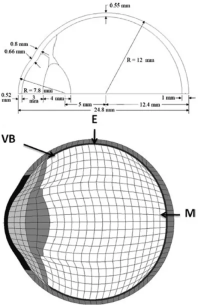 Fig. 5. The eye model of Rossi et al. [13]. License Number: 4034620402562 
