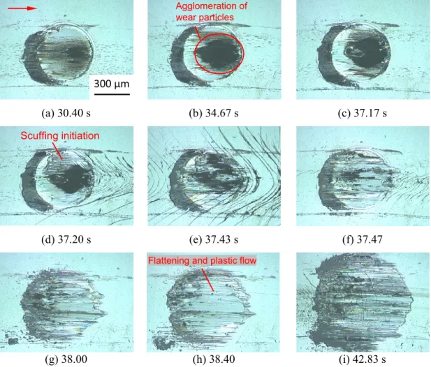 Fig. 2.4 In-situ observation of the scuffing process in Test D2.1. 