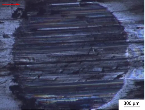 Fig. 2.9 Contact image and worn surface for steady state sliding under lubricated  condition (Test L2.2)