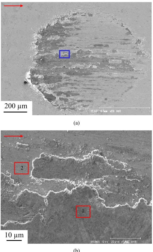 Fig. 2.13 SEM graph of the steel surface in severe wear for Test D2.1: (a): overview of  the contact area; (b) enlarged view for the square