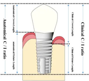 図 9：Crown / Implant ratio 