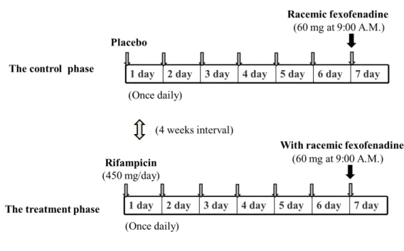 Fig. 7. Study design. 
