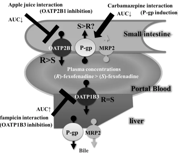 Fig. 17. Predictive mechanism. 