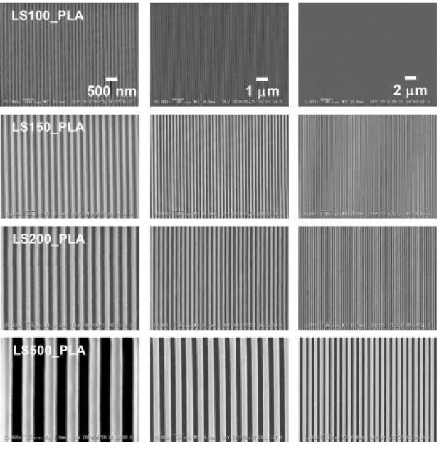 Figure  2-5.  SEM  images  of  nano-imprinted  PLA  films  with  line/space  pattern. The line widths are 100 nm (top column), 150 nm (2 nd  column), 200  nm (3 rd  column) and 500 nm (4 th  column)