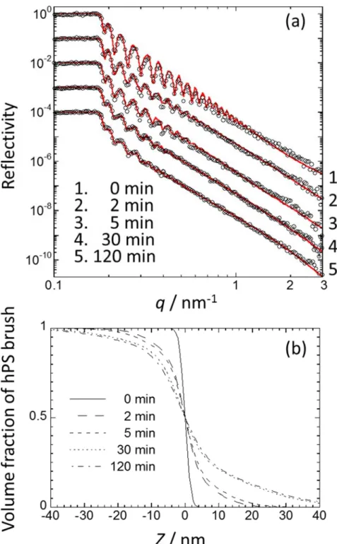 Figure 3-6. (a) Neutron reflectivity curves (open circles) of dPS (M n : 38,500) / hPS    (M n :  148,000) bilayer film annealed at 393 K for 0, 2, 5, 30 and 120 min, and the corresponding fit  (red line) calculated on the basis of the scattering length de