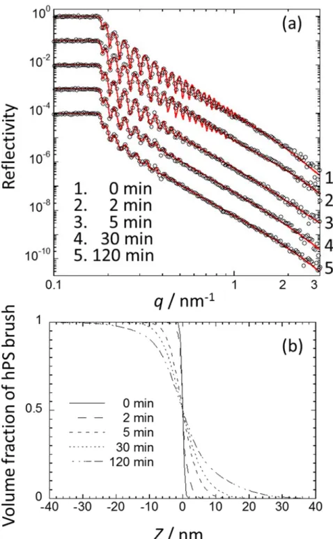 Figure 3-7. (a) Neutron reflectivity curves (open circles) of dPS (M n : 38,500) / hPS    (M n :  148,000) bilayer film annealed at 388 K for 0, 2, 5, 30 and 120 min, and the corresponding fit  (red line) calculated on the basis of the scattering length de