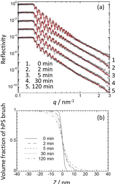 Figure 3-8. (a) Neutron reflectivity curves (open circles) of dPS (M n : 38,500) / hPS    (M n :  148,000) bilayer film annealed at 383 K for 0, 2, 5, 30 and 120 min, and the corresponding fit  (red line) calculated on the basis of the scattering length de