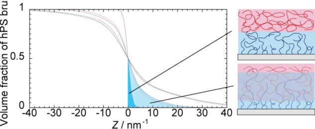 Figure 3-9. Schematic image of definition of the amount of penetrated brush chain into matrix