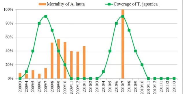 Figure 3-13 shows the mortality of A. lauta increased with coverage of T. japonica  increased from Mar