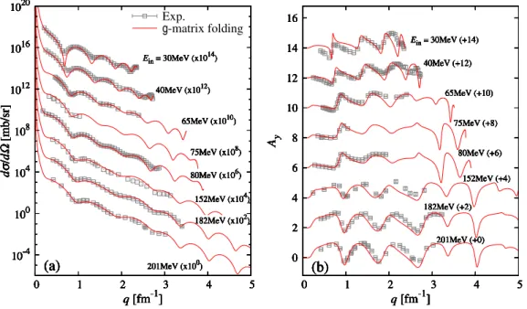Figure 2.5: (a) Diﬀerential cross sections dσ/dΩ and (b) vector analyzing powers A y as functions of q for proton elastic scattering on 40 Ca target at E in = 30–201 MeV.