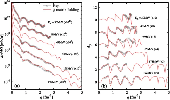 Figure 2.6: (a) Diﬀerential cross sections dσ/dΩ and (b) vector analyzing powers A y as functions of q for proton elastic scattering on 58 Ni target at E in = 30–192 MeV