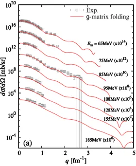 Figure 2.8: Diﬀerential cross sections dσ/dΩ as functions of q for neutron elastic scat- scat-tering on 12 C target at E in = 65–185 MeV